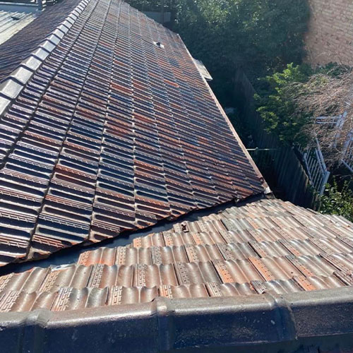 roof-service